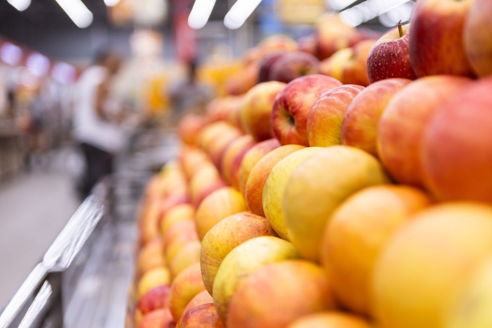 Comidas sustentabilidade